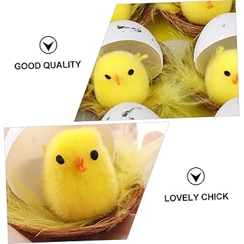 Amazon.co.jp: HOOTNEE 12個かわいい復活祭小鳥デコレーション