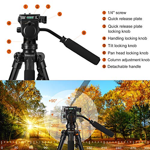 Tripod, 75 Inch Tripod For Camera, Heavy Duty Camera Tripod Stand With Fluid Head, 2 Quick Release Mounts And Tablet & Phone Mount, Compatible With Dslr Canon Nikon Sony, 15 Lbs Loads #TOP7