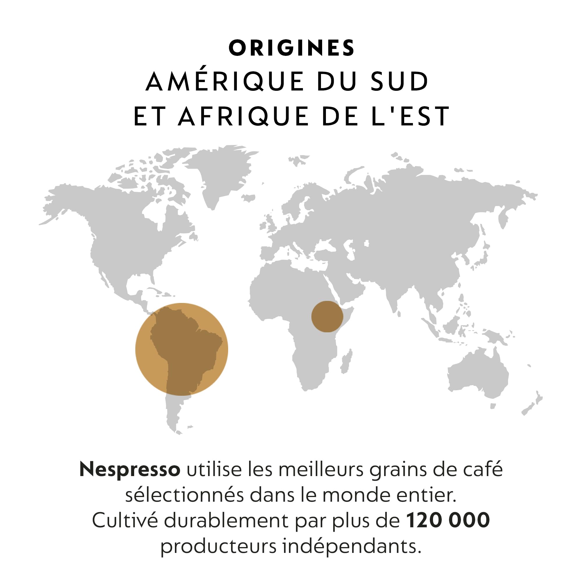 Nespresso Professionnel - Bundle 200 Capsules cafés - Classic Variété Pack : 50x Forte / 50x Intense / 50x Leggero / 50x Decaffeinato - Adapté aux professionnels