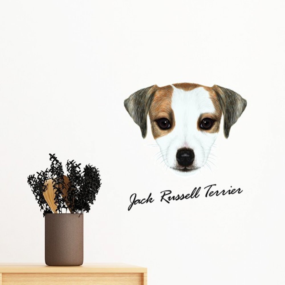 Sticker Jack Russell amovible pour masquer les imperfections d'un mur