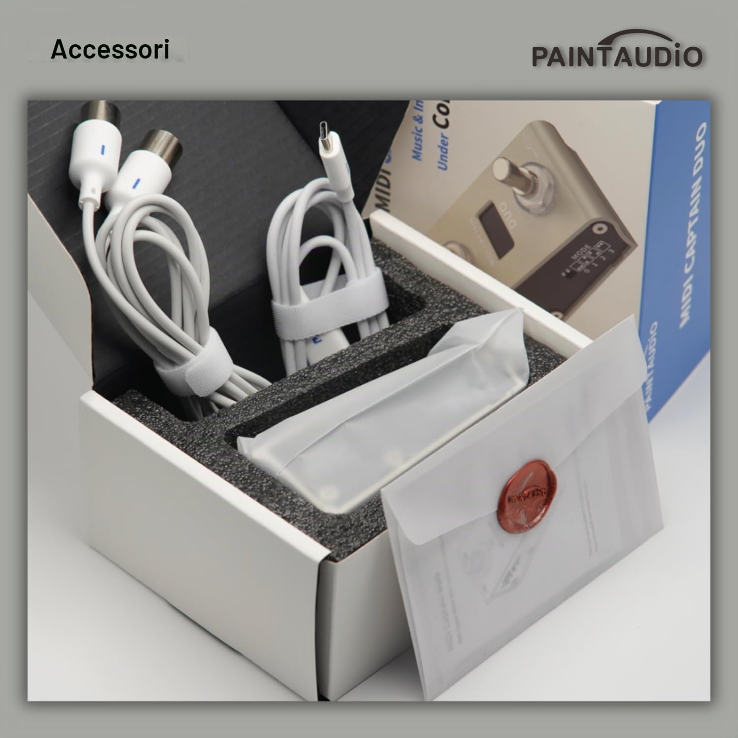 Paint Audio MIDI Captain DUO Controller a pedale tastiere multi-effetto sintetizzatore USB-DAW DSP Software USB-HID Supporto Multi-stato Switch Ciclismo