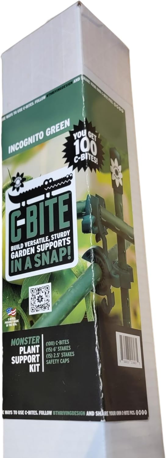https://m.media-amazon.com/images/I/61Ck6cbdTjL._AC_SL1500_.jpg