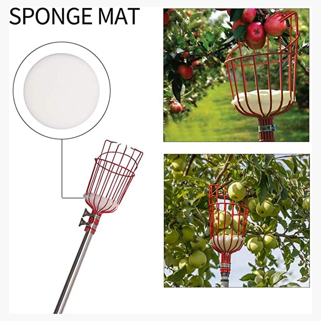 Raccoglifrutta Con Asta Allungabile - 3 Griffe In Gomma Morbida, Per Mele E Frutta, Lunghezza 1,5 M - Foto 6