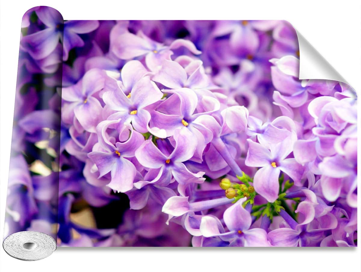 Papier peint fleurs pourpres géant 416x254cm auto-adhésif à haute adhérence Tulup