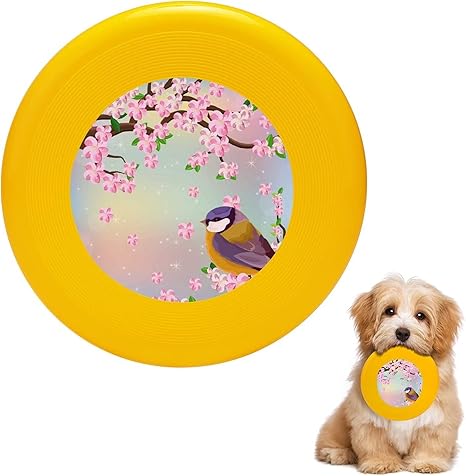 dog frisbee amazon