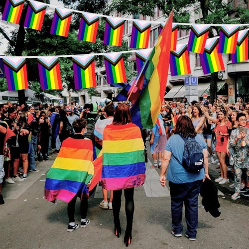 Banderas de orgullo del progreso largas para decorar espacios grandes sin comprar de más 5