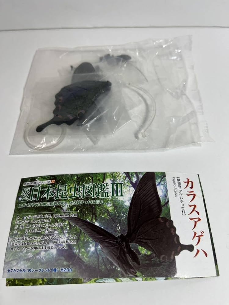 原色日本昆虫図鑑 全4巻セット ①【Yujin】 原色日本昆虫図鑑 Ⅳ 蝶