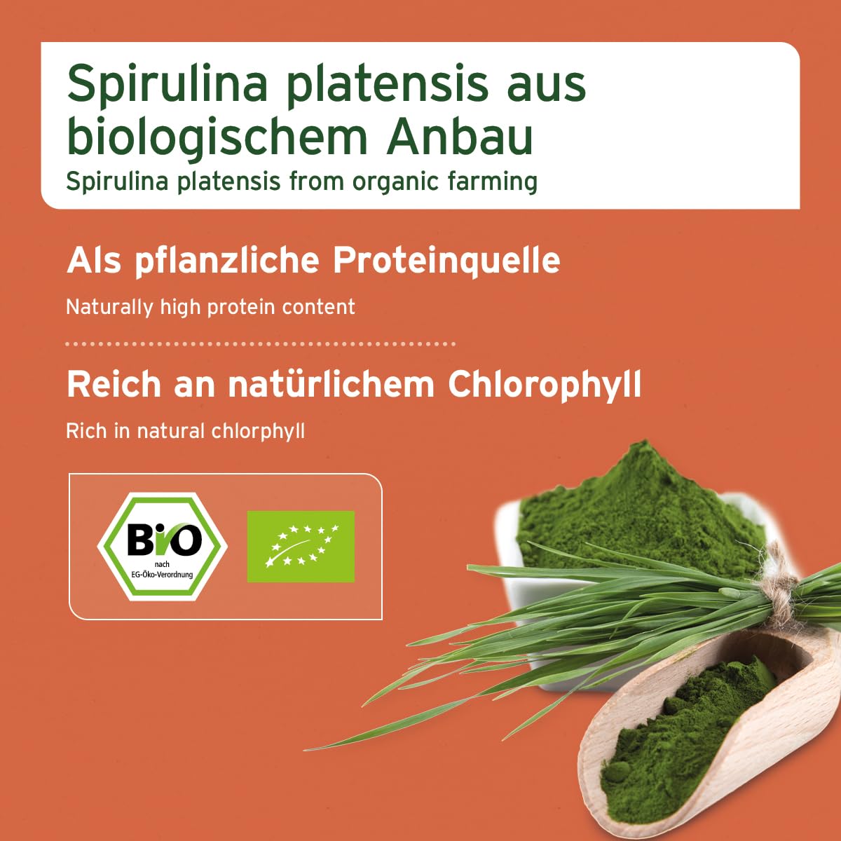 AniForte Bio Spiruline en Poudre pour Chiens et Chats 250g, Micro algues pour la Peau et Le Pelage, système immunitaire et processus métaboliques, vitamines, Biologique, testé en Laboratoire