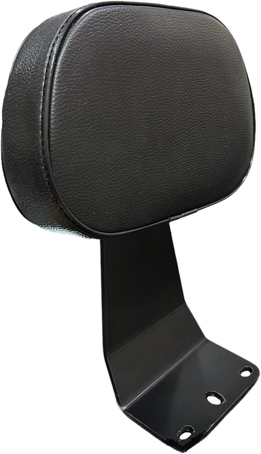 SGTB Steel Pillion Back Rest Burgman 125 Suzuki Scooter Back Rest with Comfortable Cushion Burgman Accessories
