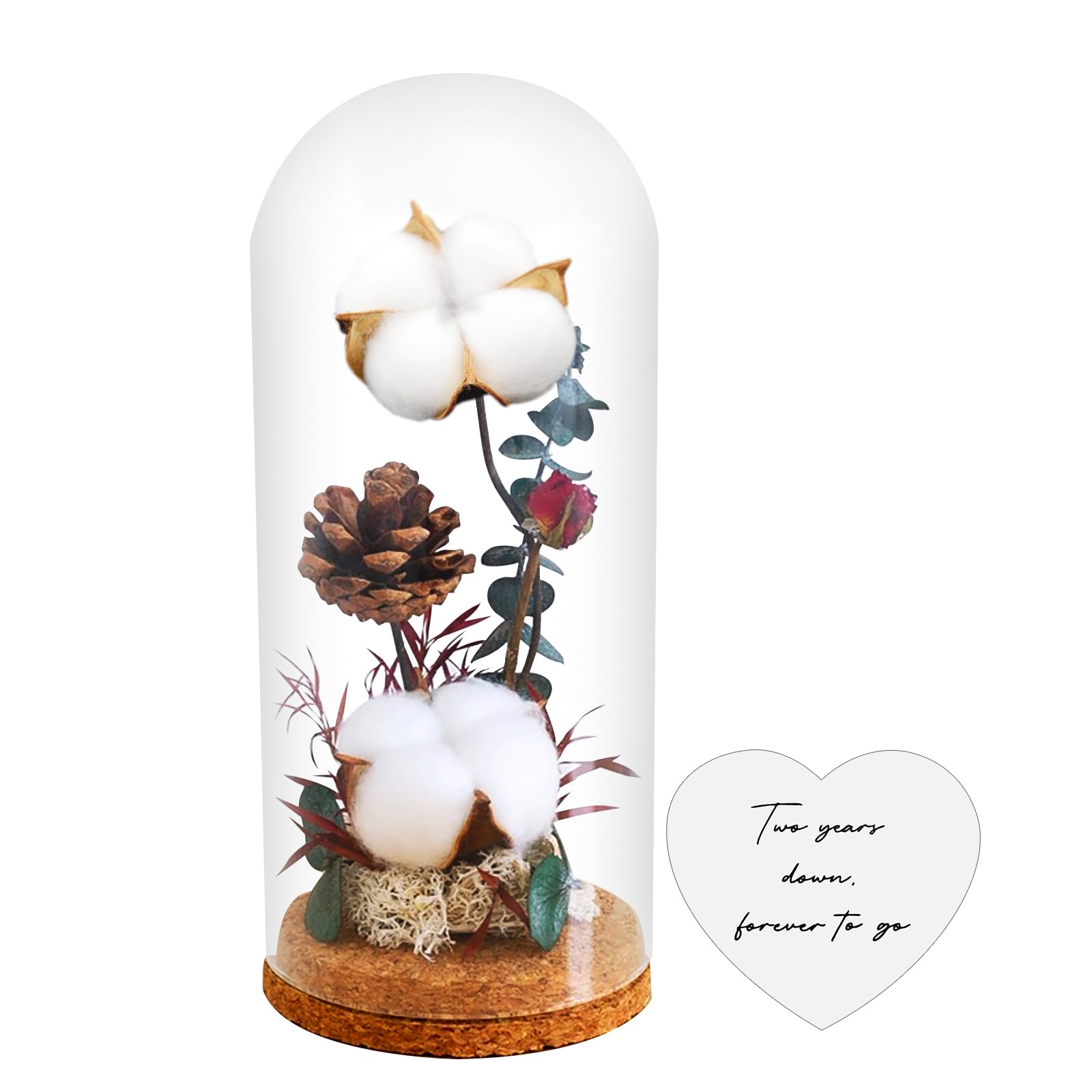 Cotton 2nd Anniversary Keepsake for Her Him, Cotton Gifts for 2 Year Anniversary, Dried Cotton Flowers in Glass Dome, with Message Card - Two Years Down, Forever to Go