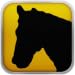 Horses 101 - Training Exercises