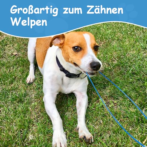 Mi Metty 2Pack Hundeleine Verlängerungsseil Kausicherfest Metall Kabel Leine,Hochbelastbar Trainingsleine Hundeleine Große Mittelgroße Hunde (Schwarz+Schwarz, 20 inch/50 cm)