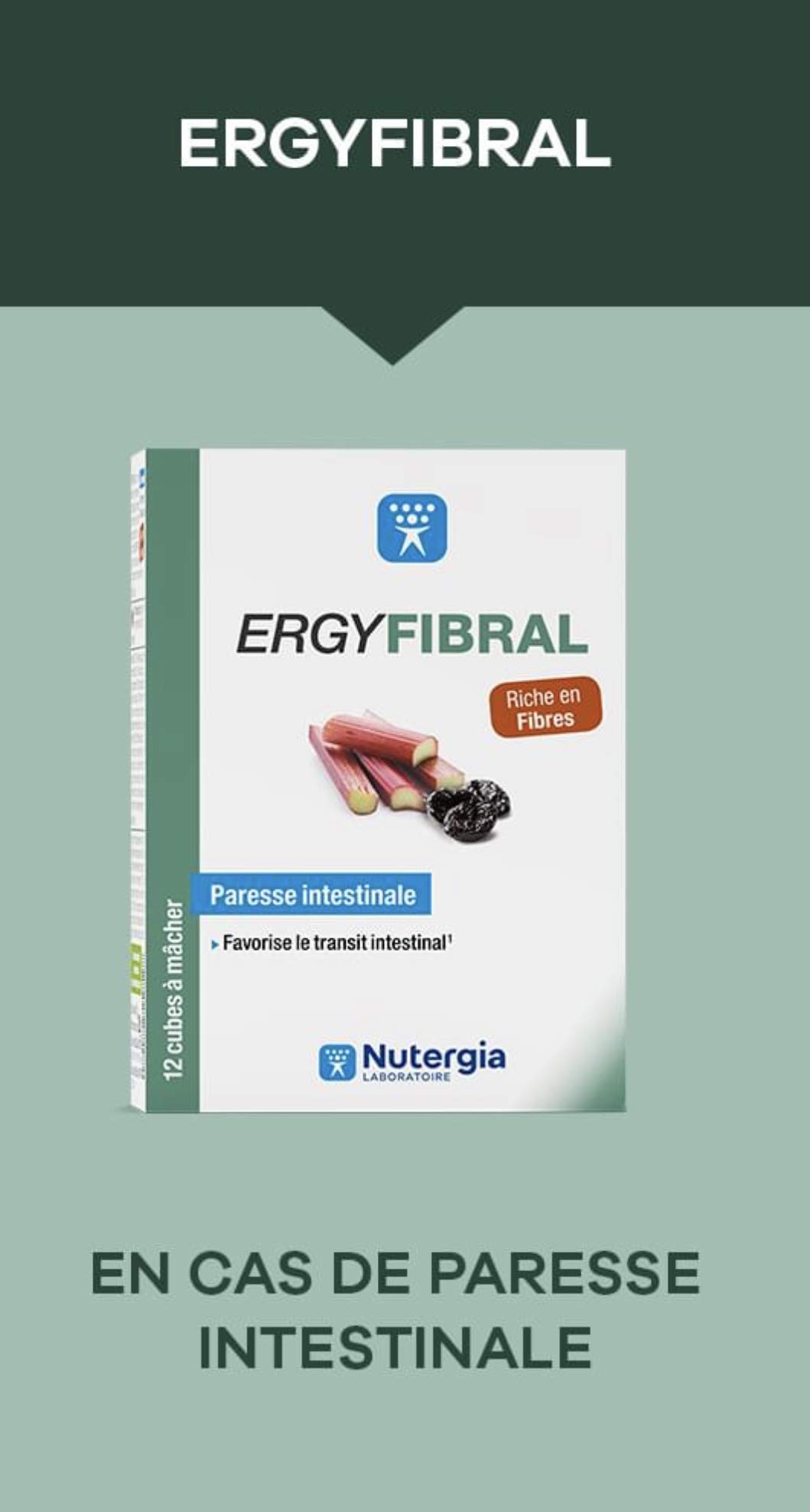 ERGYFIBRAL Cubes à mâcher à base de fruits et plantes riches en fibres et magnésium.- Nutergia - Lot de 2 Boites de 12 Cubes (2)