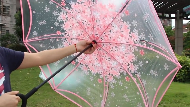 Parapluie Pliant Transparent à Fleurs De Cerisier - Compact Et Léger - Pour Voyage