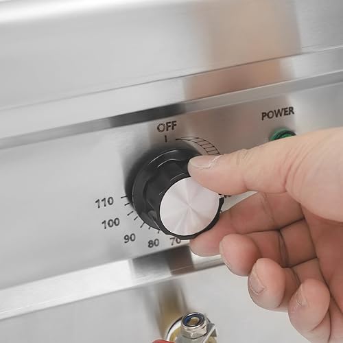 Miniatura 8 de Máquina eléctrica de cocción de pasta de 2500 W, cocina de pasta comercial con 2 filtros de fideos, caldera de pasta de fideos 110 V