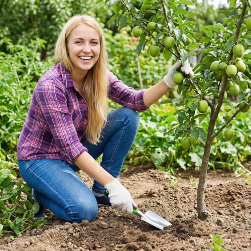 Juego de 10 palas para jardín de aleación de aluminio miniatura 6