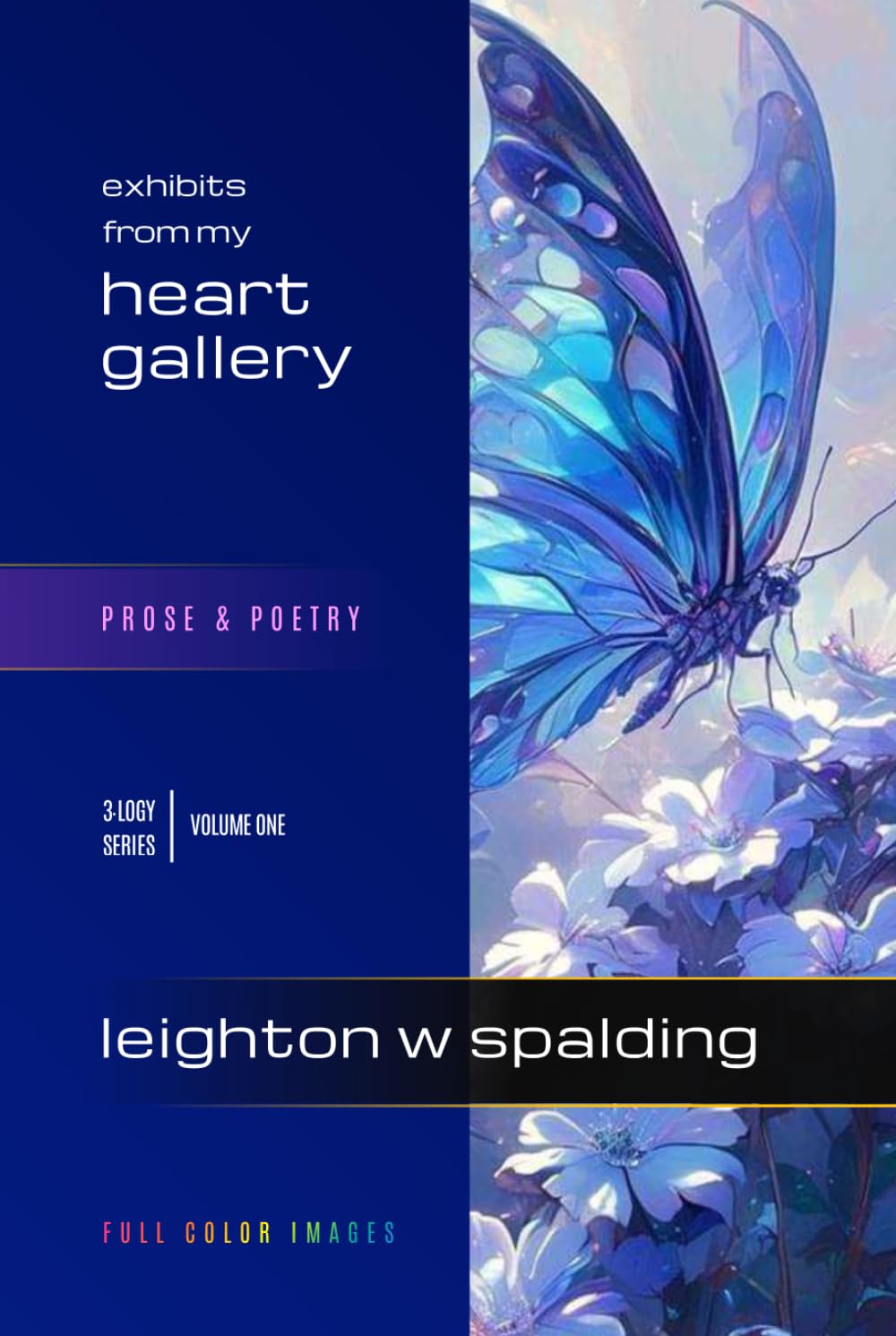 Heart Gallery: Practical Wisdom in Poetry and Prose (3logy Series)