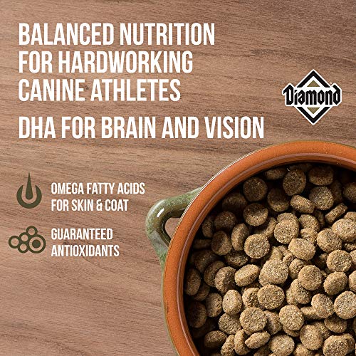 Diamond Performance Recipe With Meat First, High Protein, Grains And No Peas, Lentils, Chickpeas, Potatoes, Or Sweet Potatoes 40 Pound (Pack Of 1) #TOP2