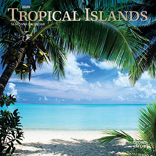 Télécharger Tropical Islands 2020 Calendar: Foil Stamped Cover Livre eBook France