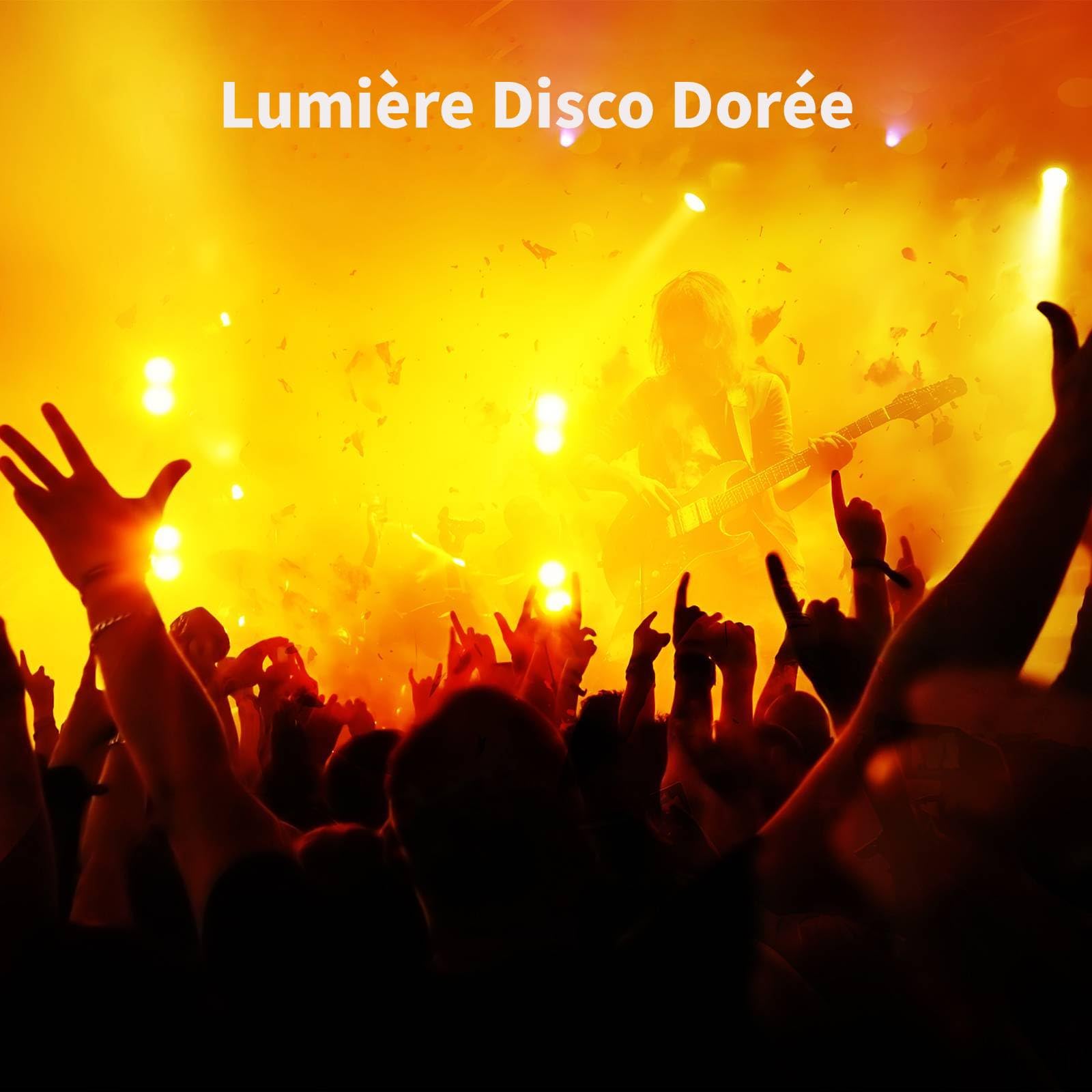 Jeux de Lumiere et Fête Contrôlée par Musique avec DMX512, UV & Boule Disco - Lumiere DJ pour Club, Fête, Événement, Mariage, Halloween