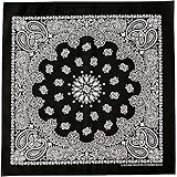 HAV-A-HANK ハバハンク MADE IN USA 55cm×55cm ペイズリー ヴィンテージ バンダナ スカーフ ハンカチ アメリカ製 ＜ブラック 1枚＞