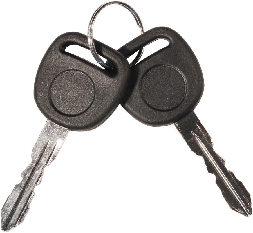 Two new keys for the ignition lock cylinder