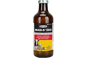 Vitamin Maxi B 1000 SYNTHOL 250 ML