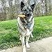 Pet Factory American Beefhide 3