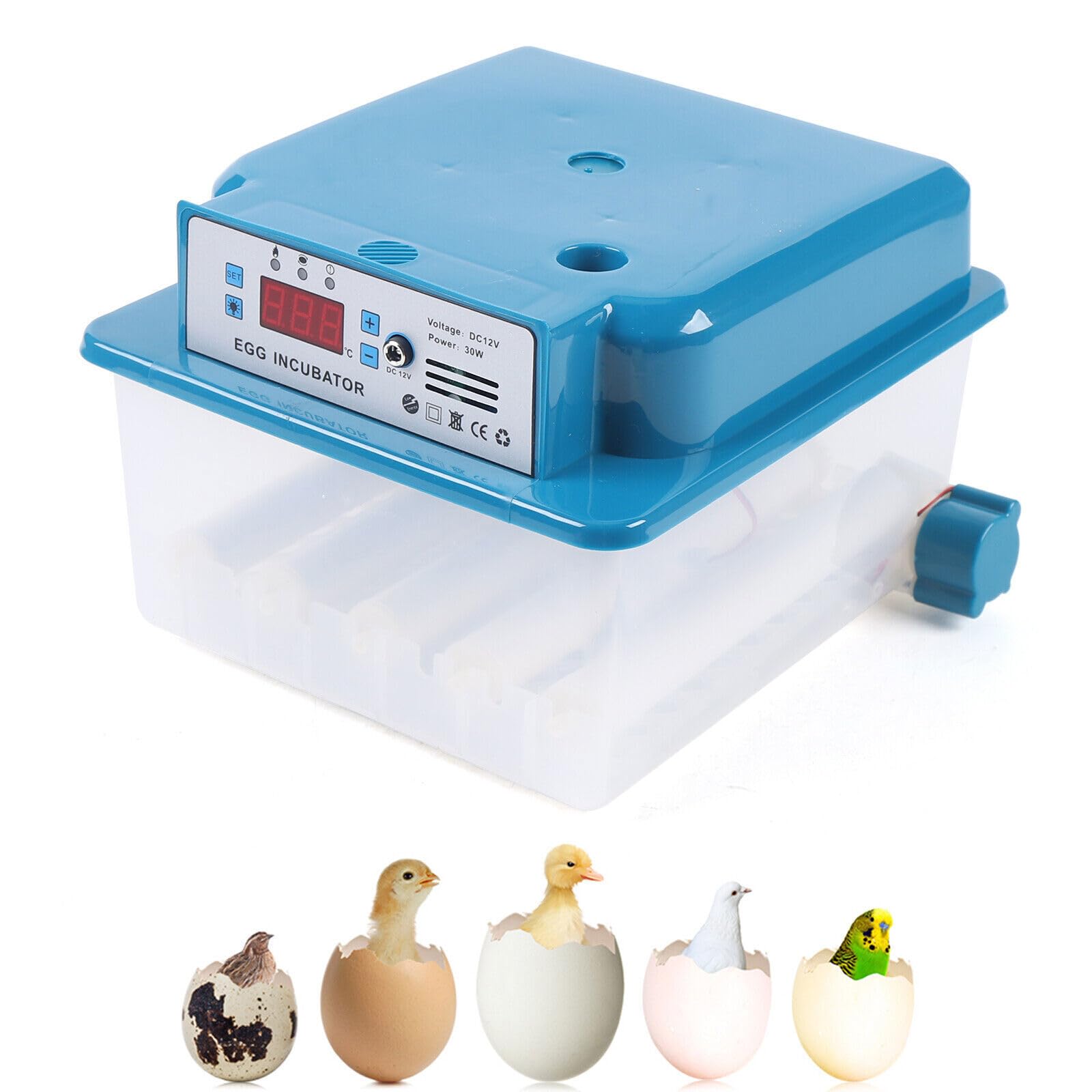 Incubatrice completamente automatica, capacità di incubazione circa 16 uova, 12 V/AC100 – 240 V, con inversione automatica e display digitale, incubatrice, incubatrice automatica di pollo