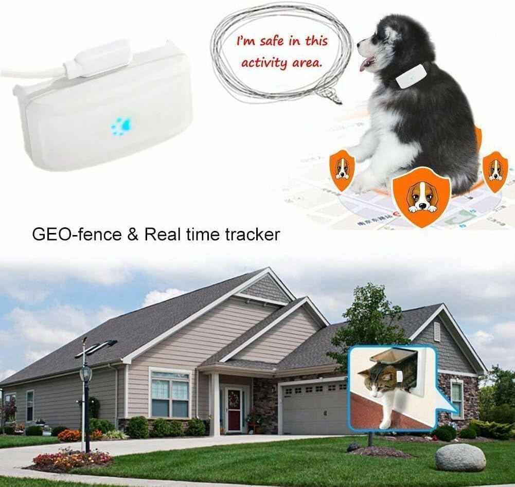 Zeerkeer Localizador GPS Perros y Gatos con App y Collar para Mascotas | Localización en Tiempo Real, Historial 180 Días, Geovalla, IP66, Batería 500 mAh, SOS, Avisos por SMS, Uso Web