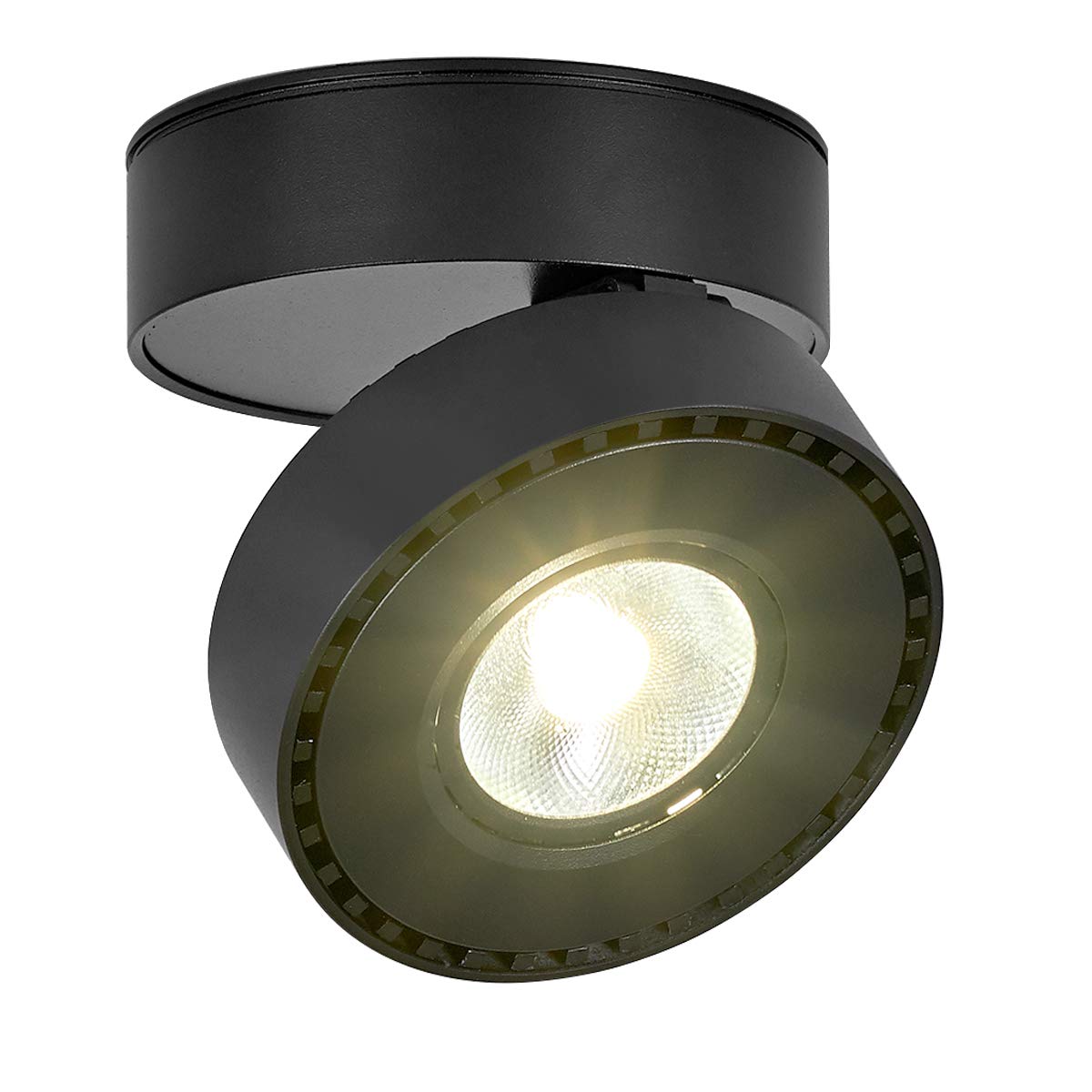 Dr.lazyLANBOS 12W LED Ceiling Spotlights, Ceiling Spotlights, Ceiling Light, Adjustable Ceiling Spotlights, LED Ceiling Lighting, Indoor Ceiling Light, IP20, 10 x 6 cm, Aluminium (Black+Natural