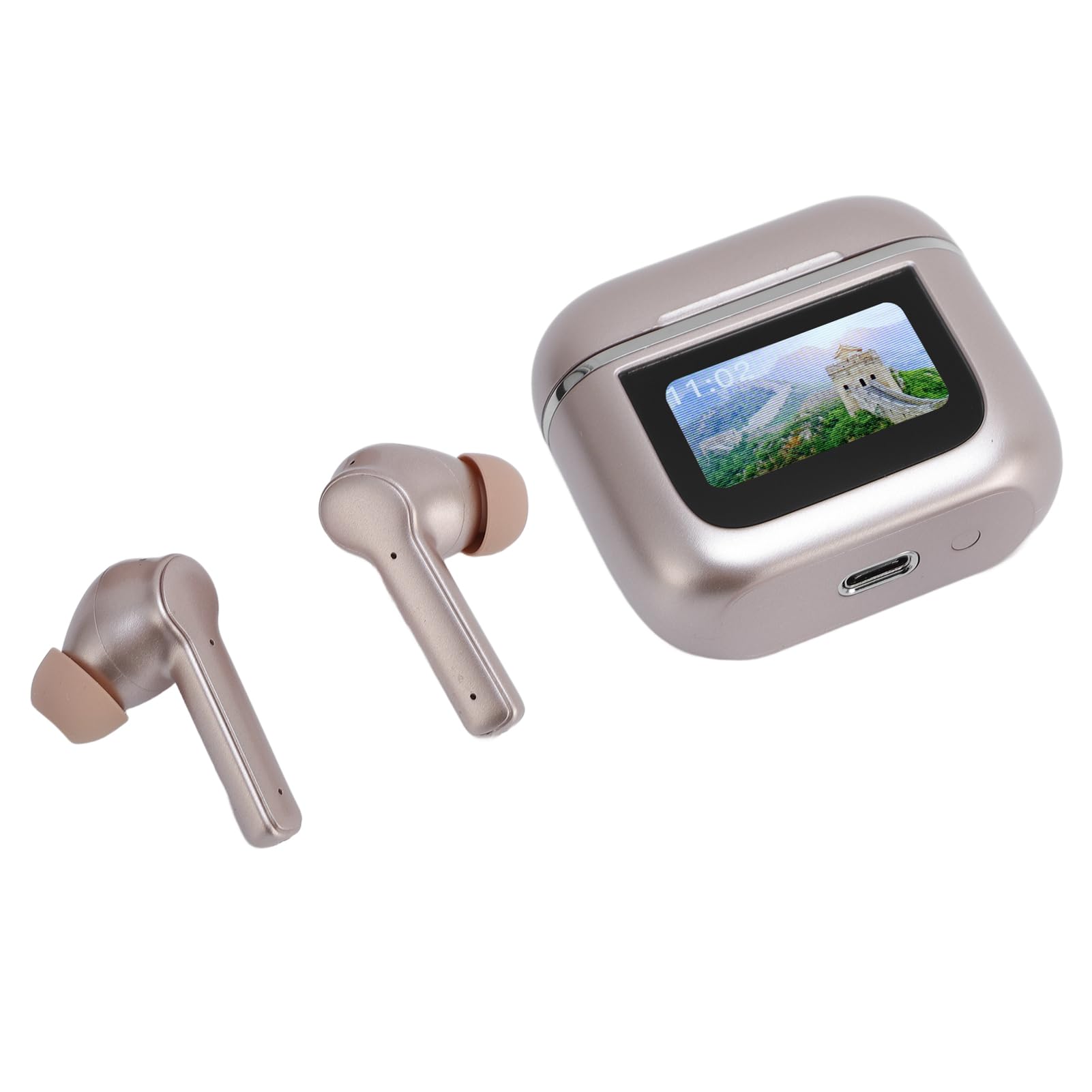 Fabater Auricolari per Traduttore di Lingua Cancellazione Attiva del Rumore Batteria a Lunga Durata per Viaggiatori e Appassionati di Lingue 2 Auricolari 1 Custodia per (GOLD)