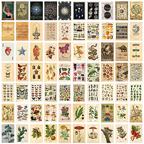 TYFYH 70 Piezas Kit de Collage de Pared Botánico Vintage, Imagen Estética Vintage para Kit de Collage de Oared, Póster para Decoración de La Pared del Dormitorio