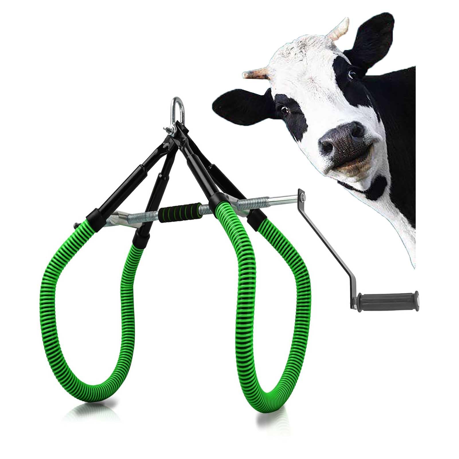 Morsetto per sollevamento bestiame, supporto regolabile in acciaio per sollevamento dell'anca, per distocia e post-parto nelle mucche, supporto durevole per la salute del bestiame