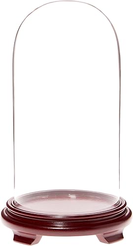 Miniatura 2 de Plymor Cúpula de cristal de 5.5 x 11 pulgadas (base con patas de chapa de madera negra)