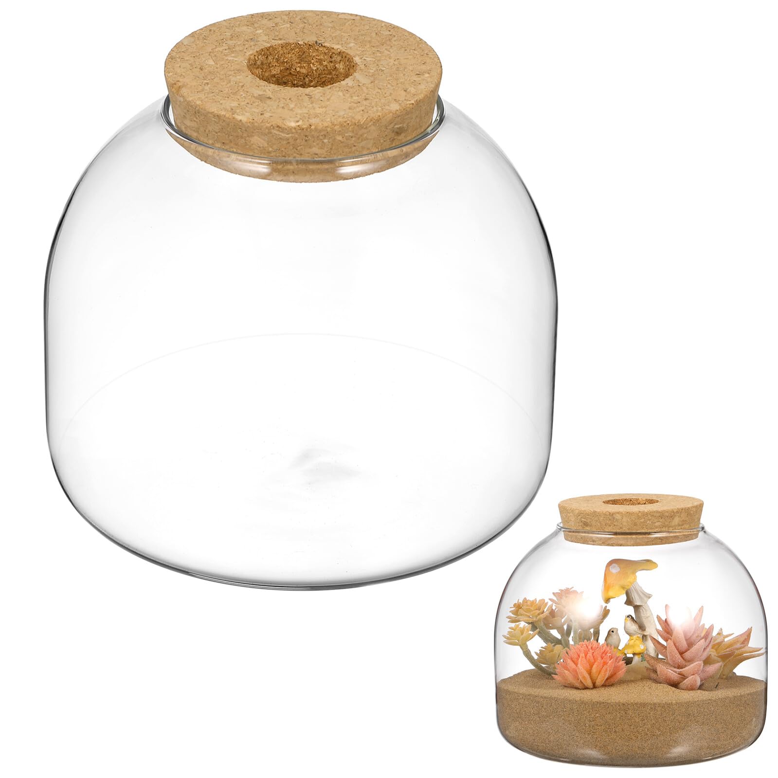 Muiltvoe Terrarium Jar Large with Cork Lid, Glass Terrarium for Plants, 20cm Clear Enclosed Ecosystem Container, Transparent Jar Vase for Hydroponic Moss and Mini Fish Tank