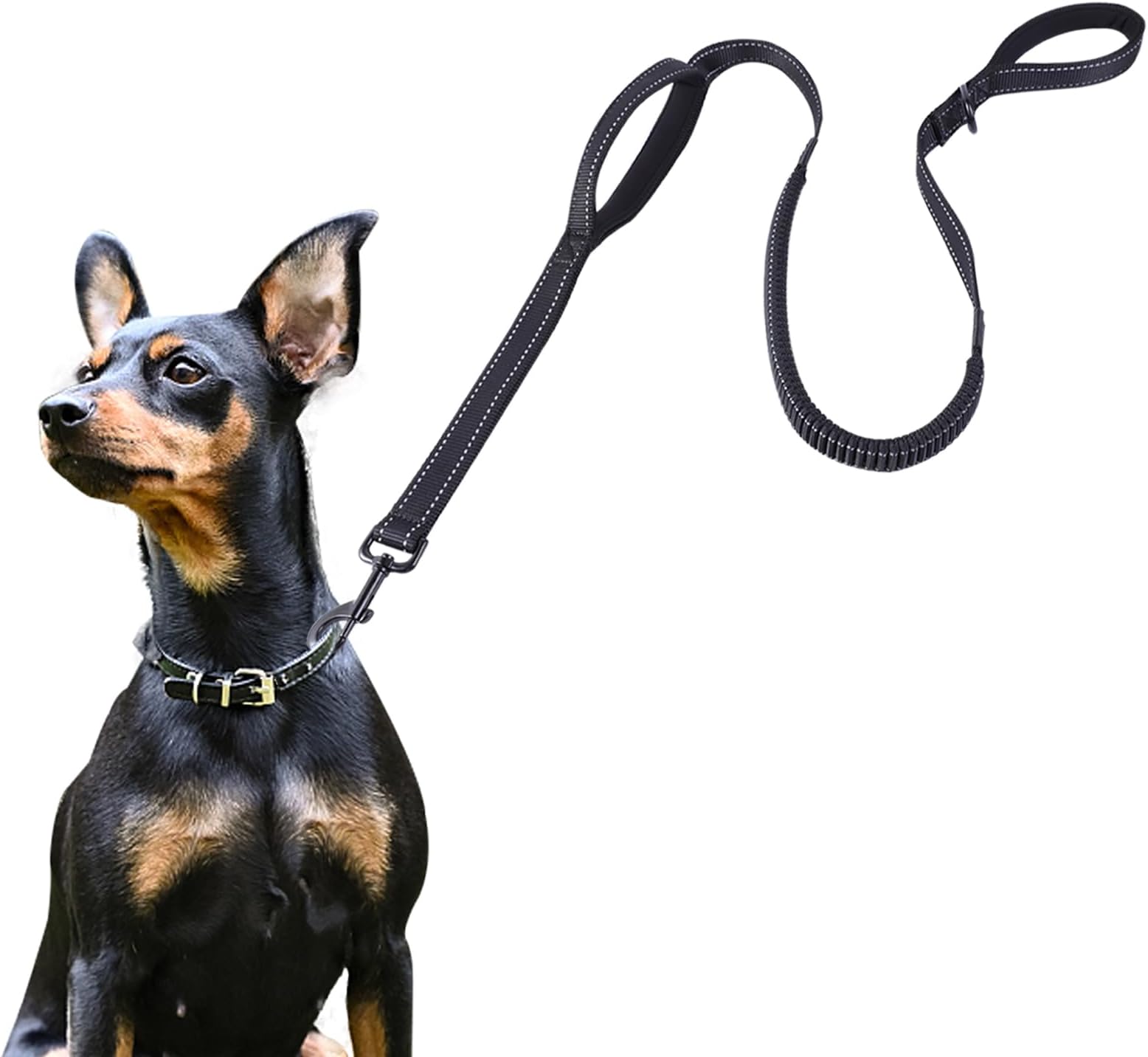 ECOCLEAN Dog Leash, 6 Ft Bungee Dog Training Leash