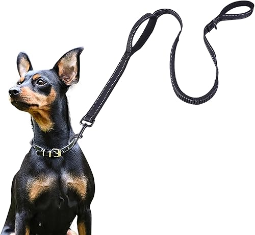 ECO-CLEAN Correa reflectante de entrenamiento para perros de 6 pies, absorción de golpes, correa de perro retráctil fuerte para perros medianos y
