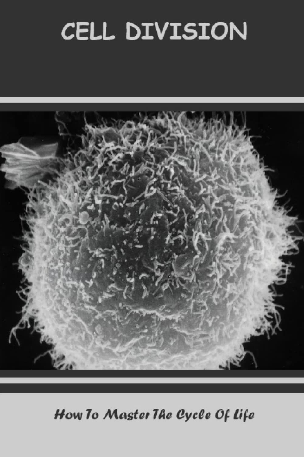 Cell Division: How To Master The Cycle Of Life