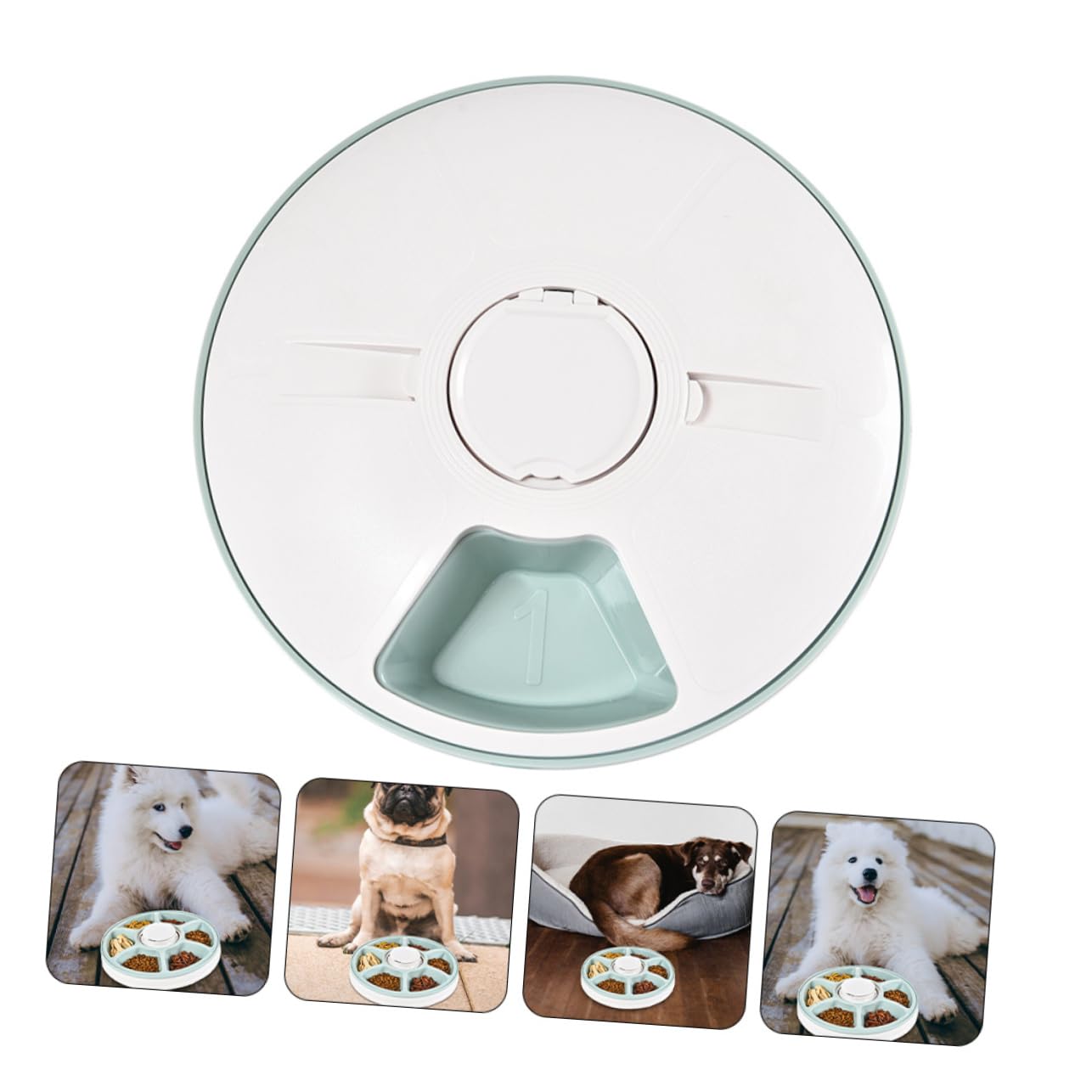 Distributore Crocchette Cane Intelligente in Abs Verde