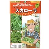 スカローラ野菜をサイゼリア好きが自宅でも楽しむ方法