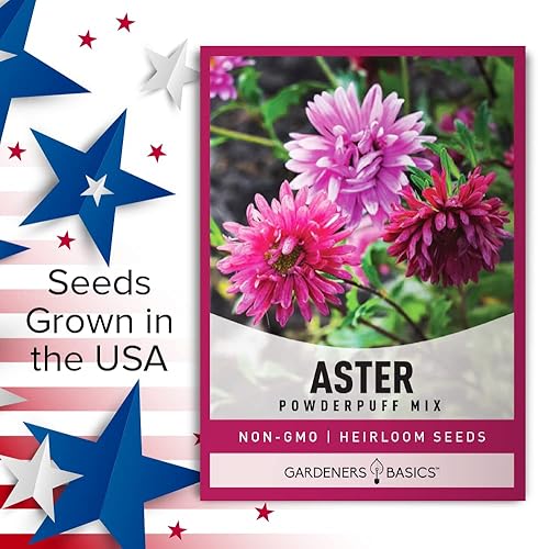 Miniatura 5 de Gardeners Basics Aster Powderpuff Mix Semillas de flores