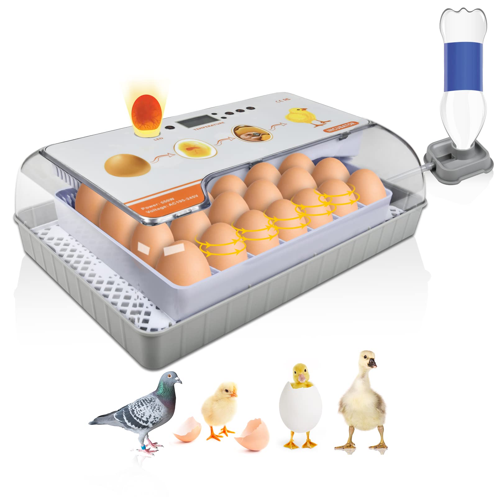 Buy Incubators for Hatching Eggs, 20 Egg Incubator with Temperature