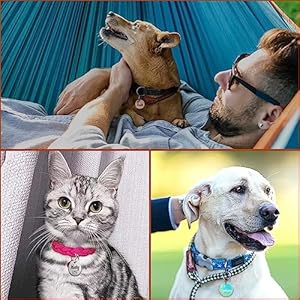   Dog-Tag-Clips-for-Collarwith-16Pcs-Replaceable-Dog-ID-Name-Tag-Ring-Clip-Dog-Tag-Attachment-Clip-Pet-tag-Quick-Clip-Clips-Rings-for-Pet-Collar-Key-Ring-Clips-Accessories-4-Sets