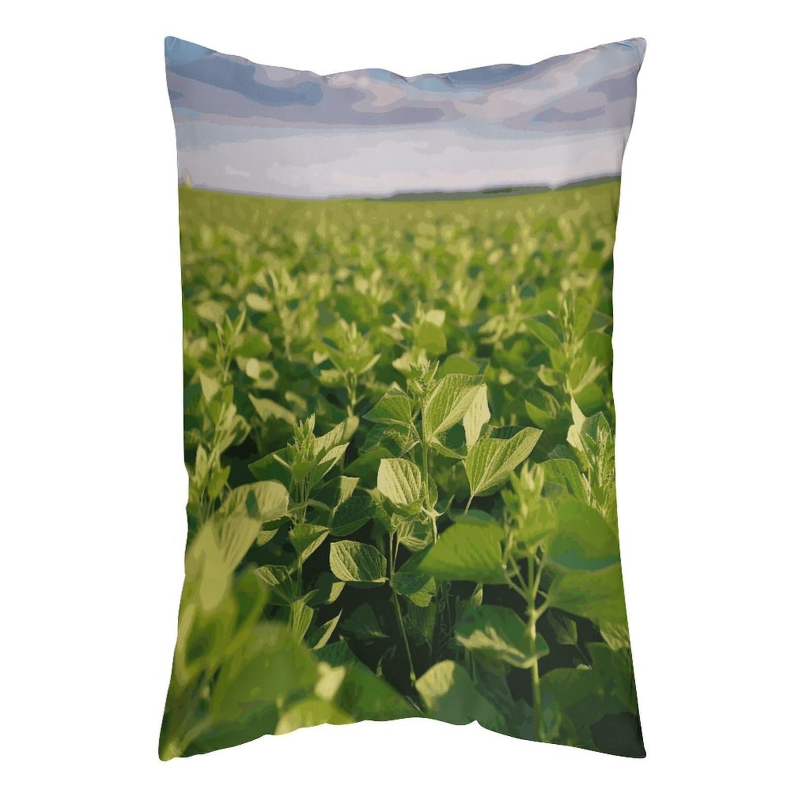 LDGSUPH Soybean Field Pillow Cases Soft Pillowcase with Invisible Zipper Wrinkle Resistant Pillow Covers Breathable Removable Pillow Protector for Bed Sofa Car 12 "x20