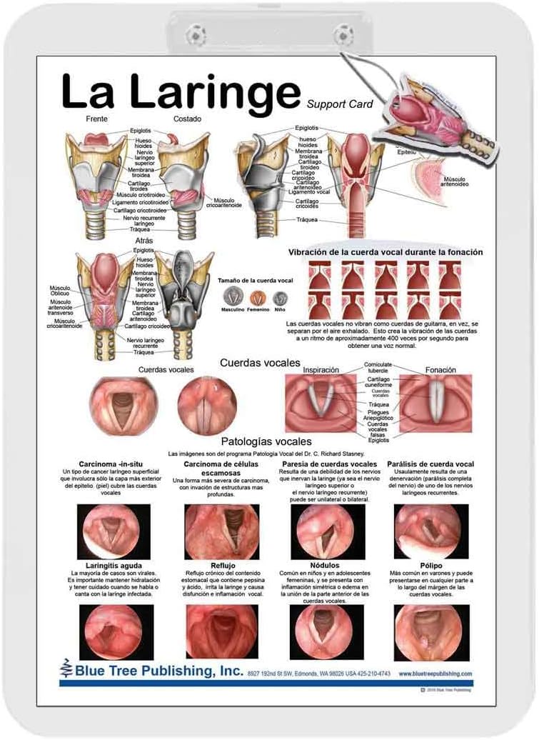 Larynx La Laringe Clipboard Spanish with Larynx air freshener