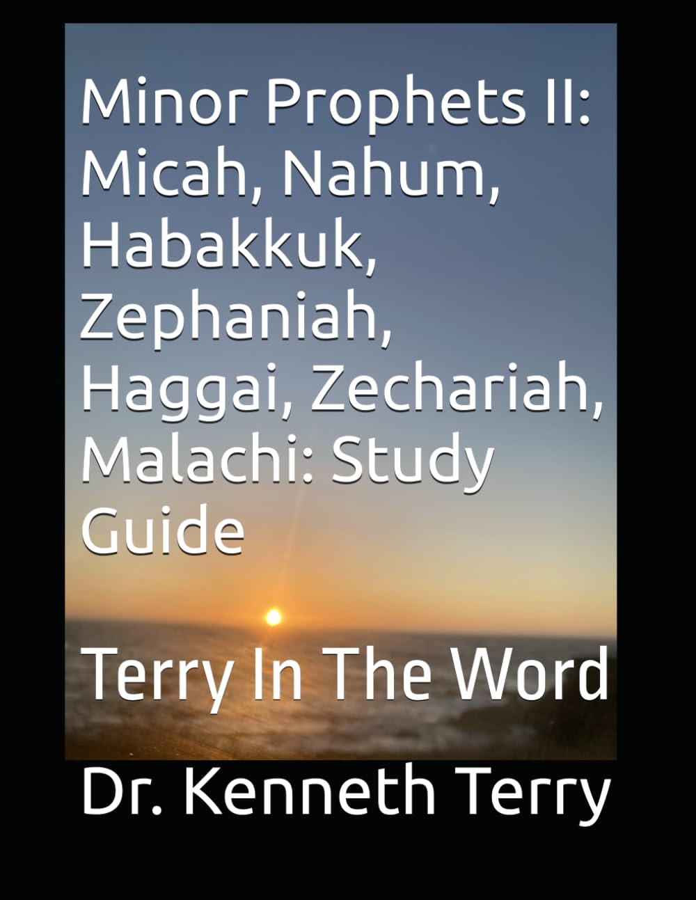 Minor Prophets II: Micah, Nahum, Habakkuk, Zephaniah, Haggai, Zechariah, Malachi: Study Guide: Terry In The Word