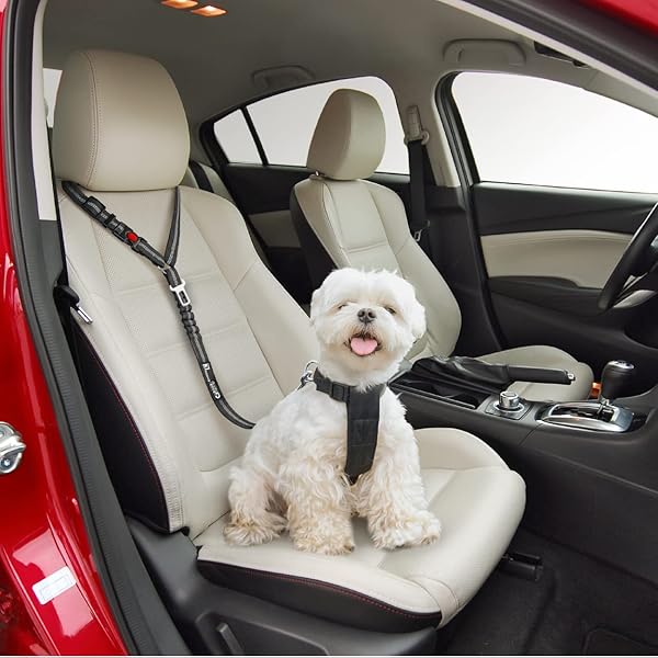 Comfortable Dog Seat Belt Harness for Car - 2-in-1 Leash and Restraint Secures to Headrest. Adjustable Bungee, Strong, Durable, 360 Degree Swivel Attach Won't Twist, Reflective, Easy to Use (Black) - 2