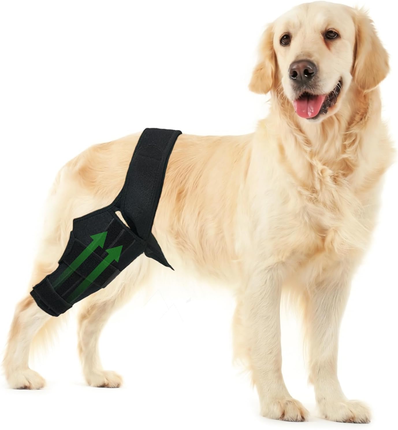 ZEROHILL Dog Knee Brace for Torn Acl Hind Leg, Luxating