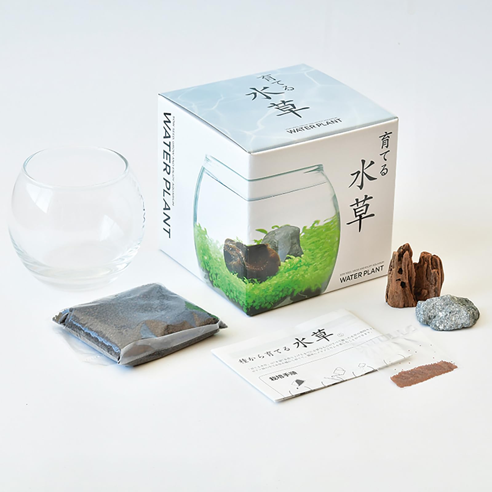 Amazon｜聖新陶芸 アクアリウム 水草 栽培キット 室内 栽培セット S